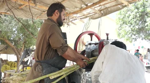 Sugar Cane Juice maker Stock Footage 49578327
