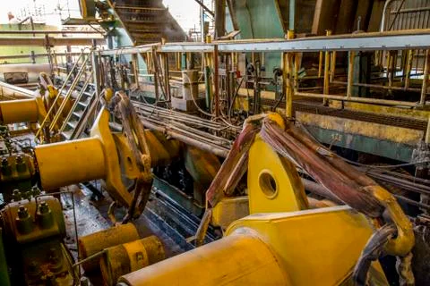 Sugar cane line Foto stock