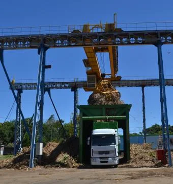 Sugar cane loading 스톡 사진