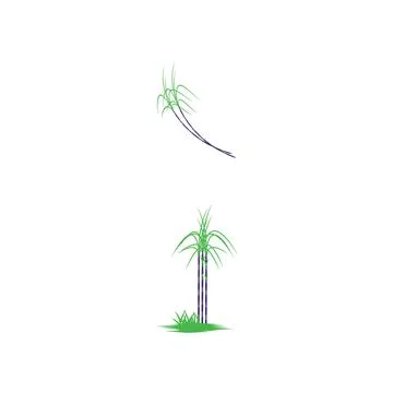 Sugar cane Logo Template vector symbol Stockillustratie