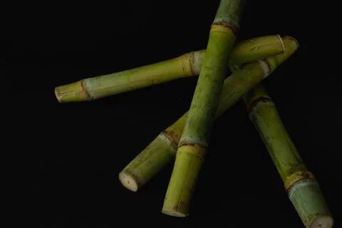 Sugar Cane macro close up Stock Photos
