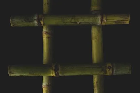 Sugar Cane macro close up Stock Photos
