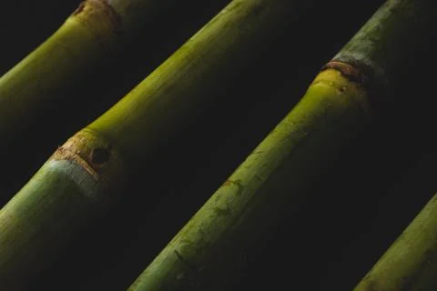 Sugar Cane macro close up Stock Photos