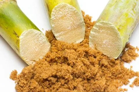 Sugar Cane Stock Photos