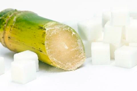 Sugar Cane Stock Photos
