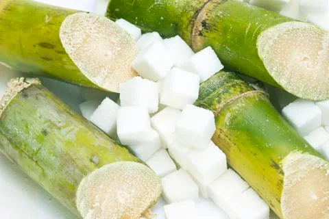 Sugar Cane Stock Photos