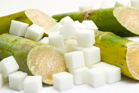 Sugar Cane Stock Photos