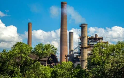 Sugar Cane Stock Photos