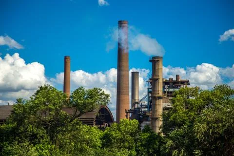 Sugar Cane Stock Photos