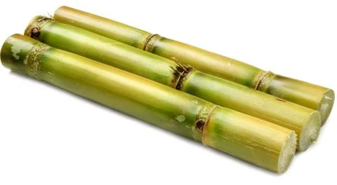 Sugar cane Stock Photos
