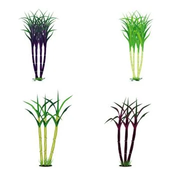 Sugar cane plant vector design Stock Illustration