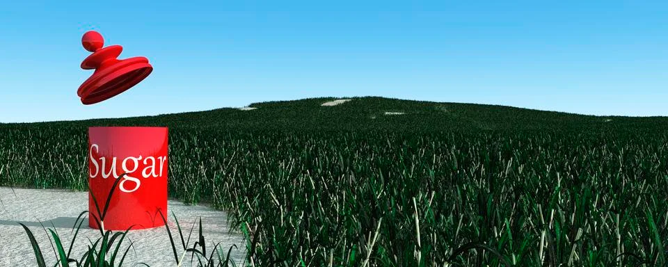 Sugar cane plantation Stock Illustration