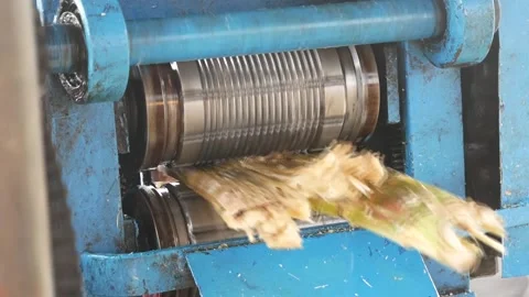 Sugar cane press extracting fresh cane juice on the street market in India, clos Video stock 130636518