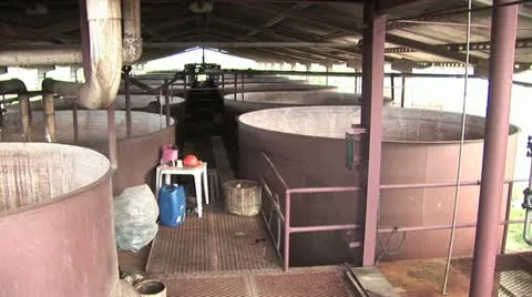 Sugar Cane Processing Equipment 3 Stock-Footage 19019533