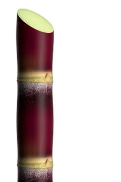 Sugar cane red. Stock Illustration
