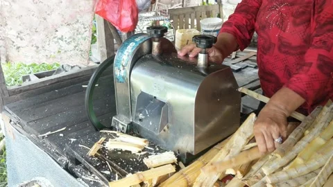 Sugar Cane Seller Stock Footage 237370768