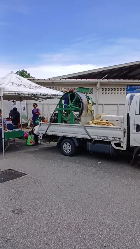 Sugar cane shredding and grinding machine. Stock Footage 317025905