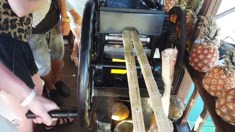 Sugar cane squeezing machine. Man squeezes sugar cane. Stock Footage 108938299