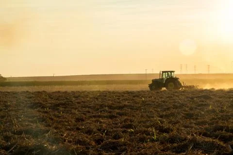 Sugar cane sunset Stock Photos