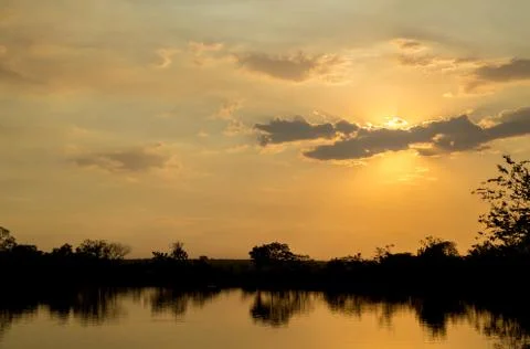 Sugar cane sunset Stock Photos