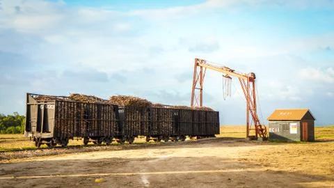 Sugar cane train in its landscape 写真素材