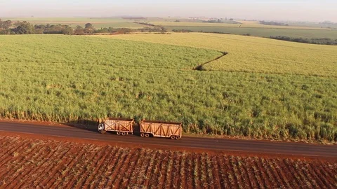 Sugar Cane Truck Stock Footage 95203036