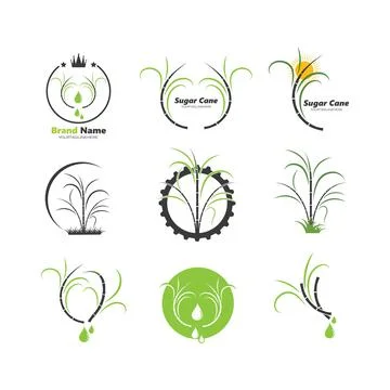 Sugar cane vector icon illustration イラスト素材