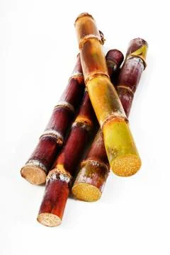 Sugar cane  on white background Stock Photos