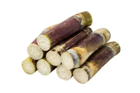 Sugar cane on white background Stock Photos