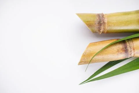 Sugar cane on a white background with space for text. Top view. Stock Photos