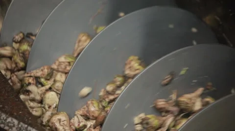 Sugar factory Stock Footage 68500520