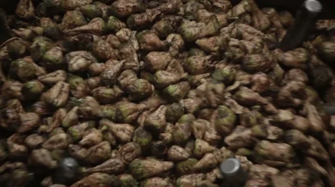 Sugar factory Stock Footage 68500633