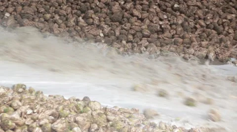 Sugar factory Stock Footage 68500779