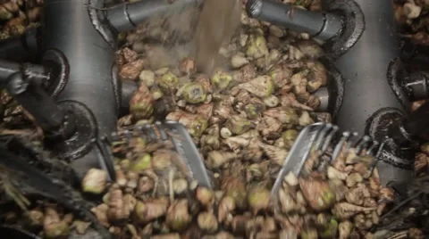 Sugar factory Stock Footage 68501014