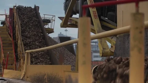 Sugar factory Stock Footage 68501998