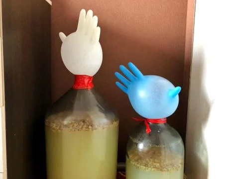 Sugar fermentation device for the purpose of alcohol production Stock Photos