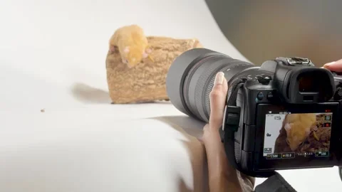 Sugar glider eating mealworm on studio macro photoshoot set Stock Footage 323980259
