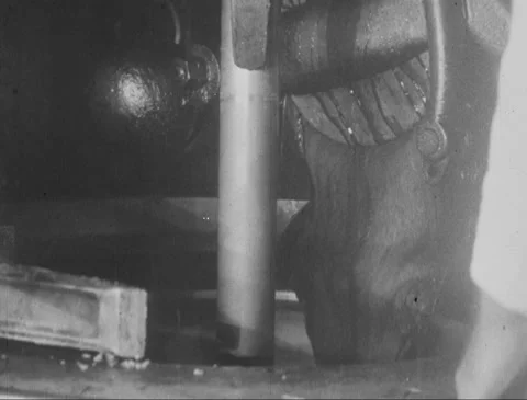 Sugar Manufacturing Process Vídeo Stock 149634716