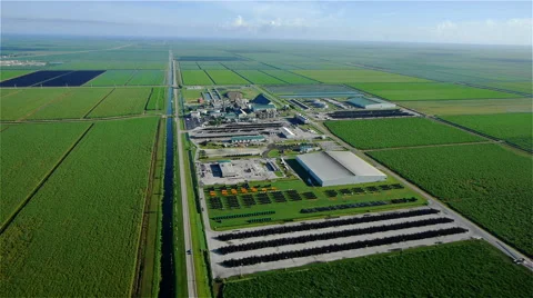 Sugar mill in the middle of endless sugarcane fields. Stock Footage