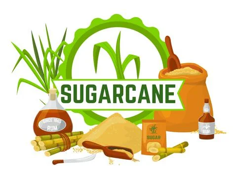 Sugar, natural element design, vector illustration. Sugarcane for sweet food Illustrazione stock