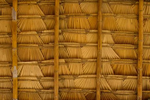 Sugar palm leaf Stock Photos