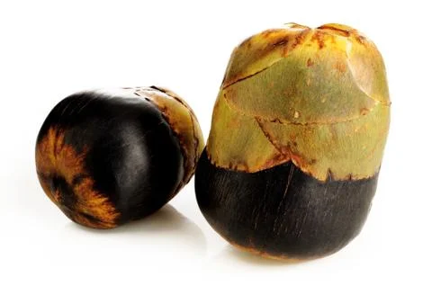 The Sugar palm Foto stock