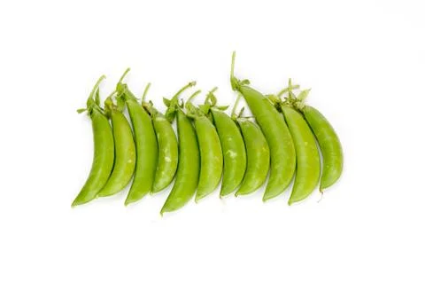 Sugar pea pod Foto stock