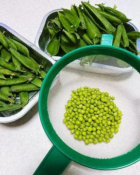Sugar peas Stock Photos