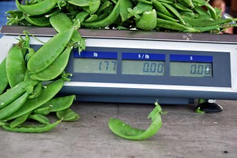 Sugar peas on a scale Stock Photos