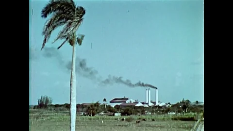 Sugar is processed and pineapples and tobacco are harvested in Cuba Stock Footage 74700280