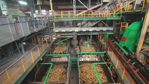 sugar processing plant