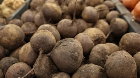 Sugar red beet, on the store shelf. Close-up. Stock Footage 232221158