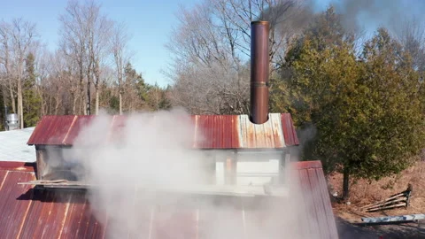 Sugar Shack Boiling Sap From Maple Trees to Produce Maple Syrup in Cabin Stock Footage 151704836