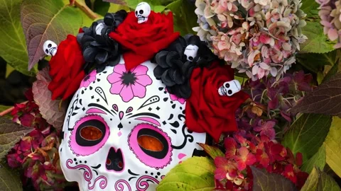 Sugar Skull Mask in hydrangea flowers. Autumn decorative background Stock Footage 315365010